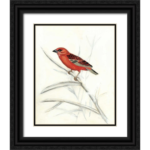 Rustic Aviary IV Black Ornate Wood Framed Art Print with Double Matting by McCavitt, Naomi