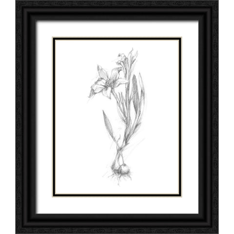 Botanical Sketch I Black Ornate Wood Framed Art Print with Double Matting by Harper, Ethan