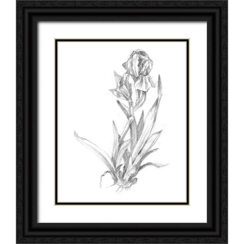 Botanical Sketch VI Black Ornate Wood Framed Art Print with Double Matting by Harper, Ethan