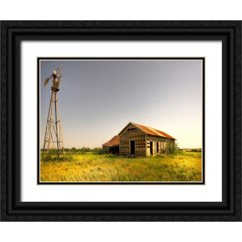 Wasting Away Black Ornate Wood Framed Art Print with Double Matting by Head, Danny