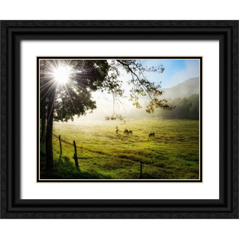Morning Graze I Black Ornate Wood Framed Art Print with Double Matting by Head, Danny