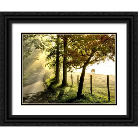 Morning Graze II Black Ornate Wood Framed Art Print with Double Matting by Head, Danny