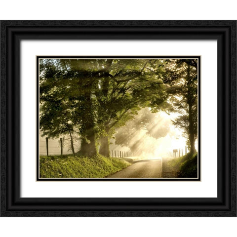 Fresh Morning I Black Ornate Wood Framed Art Print with Double Matting by Head, Danny
