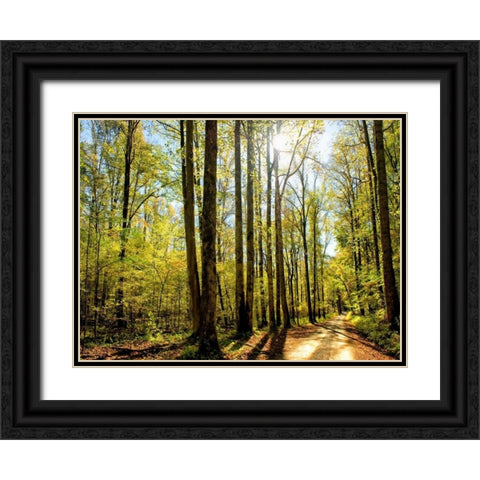 A Fresh New Morning Black Ornate Wood Framed Art Print with Double Matting by Head, Danny