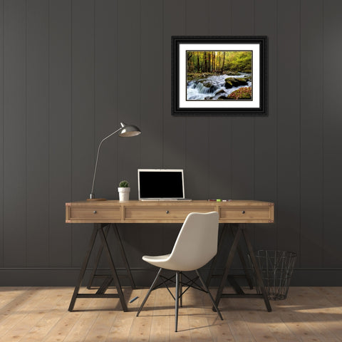 Over Flow I Black Ornate Wood Framed Art Print with Double Matting by Head, Danny