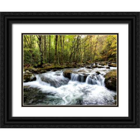 Waterslide Black Ornate Wood Framed Art Print with Double Matting by Head, Danny