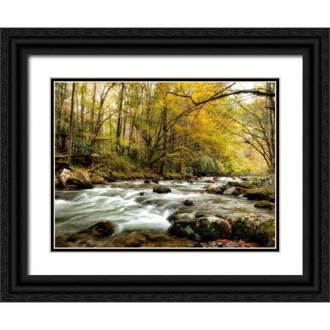 Creekside Black Ornate Wood Framed Art Print with Double Matting by Head, Danny