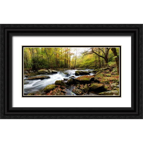 Tremont Panorama II Black Ornate Wood Framed Art Print with Double Matting by Head, Danny