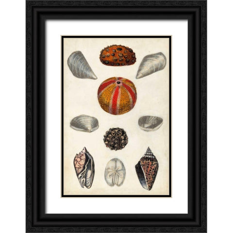 Seashore Field Notes II Black Ornate Wood Framed Art Print with Double Matting by McCavitt, Naomi