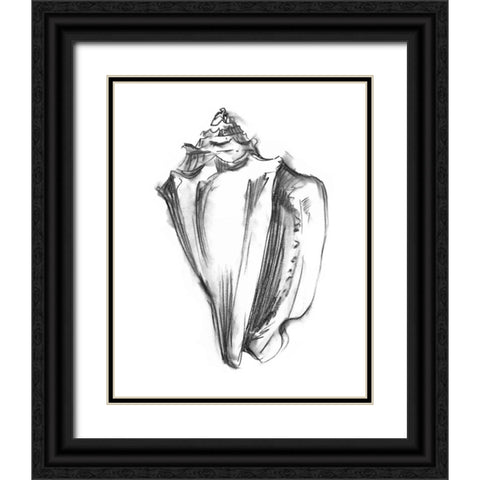 UA CH Shell Sketch I Black Ornate Wood Framed Art Print with Double Matting by Harper, Ethan