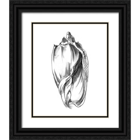 UA CH Shell Sketch II Black Ornate Wood Framed Art Print with Double Matting by Harper, Ethan