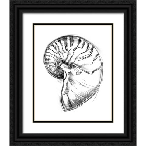 UA CH Shell Sketch IV Black Ornate Wood Framed Art Print with Double Matting by Harper, Ethan