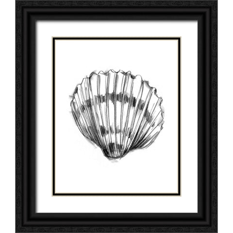 UA CH Shell Sketch VI Black Ornate Wood Framed Art Print with Double Matting by Harper, Ethan