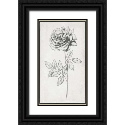 Single Stem II Black Ornate Wood Framed Art Print with Double Matting by Goldberger, Jennifer