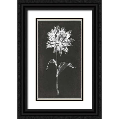 Single Stem III Black Ornate Wood Framed Art Print with Double Matting by Goldberger, Jennifer