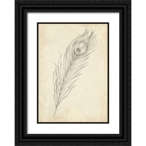 Peacock Feather Sketch II Black Ornate Wood Framed Art Print with Double Matting by Harper, Ethan