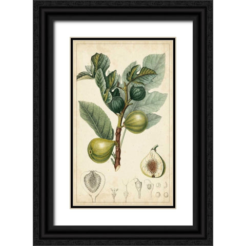 Exotic Fruits I Black Ornate Wood Framed Art Print with Double Matting by Turpin
