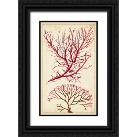 Turpin Seaweed V Black Ornate Wood Framed Art Print with Double Matting by Turpin