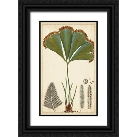 Foliage Botanique I Black Ornate Wood Framed Art Print with Double Matting by Turpin
