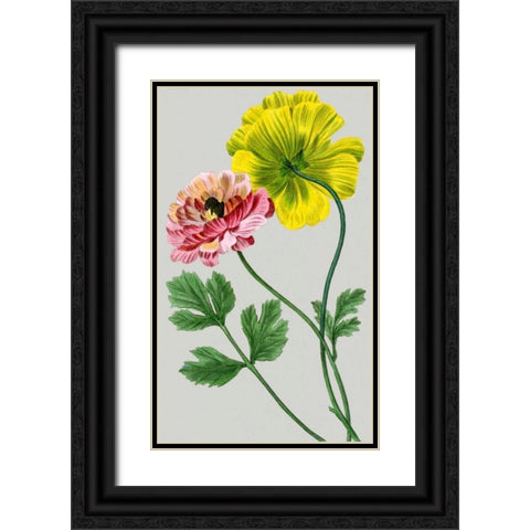 Vintage Garden Varieties I Black Ornate Wood Framed Art Print with Double Matting by Vision Studio