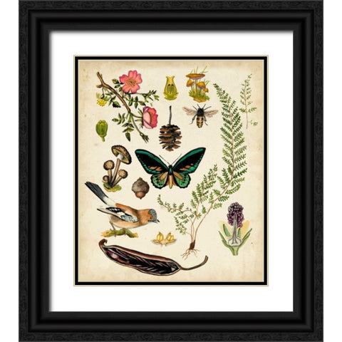 A Walk in the Forest II Black Ornate Wood Framed Art Print with Double Matting by McCavitt, Naomi