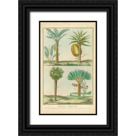 Histoire Naturelle Tropicals I Black Ornate Wood Framed Art Print with Double Matting by Martinet