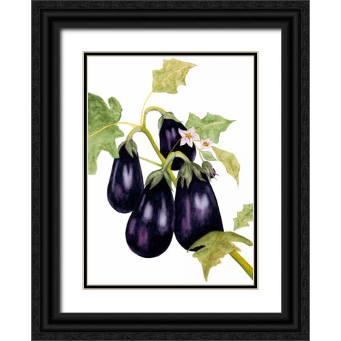 Watercolor Eggplant Black Ornate Wood Framed Art Print with Double Matting by Willett, Michael
