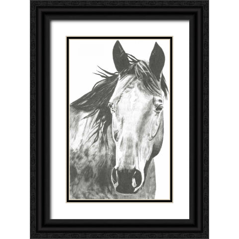 Wildlife Snapshot- Horse I Black Ornate Wood Framed Art Print with Double Matting by McCavitt, Naomi