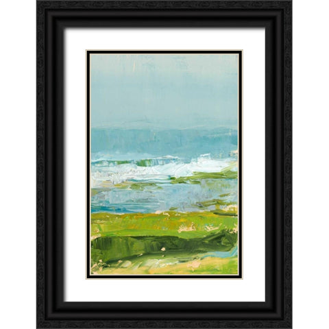 Coastal Overlook II Black Ornate Wood Framed Art Print with Double Matting by Harper, Ethan