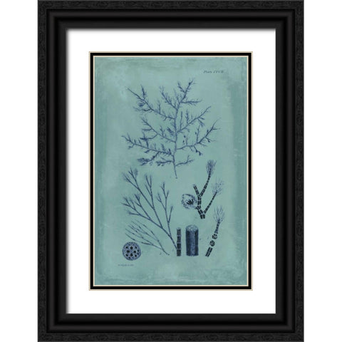 Indigo and Azure Seaweed VIII Black Ornate Wood Framed Art Print with Double Matting by Vision Studio