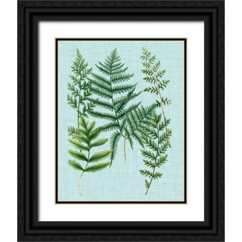 Spa Ferns I Black Ornate Wood Framed Art Print with Double Matting by Weinmann