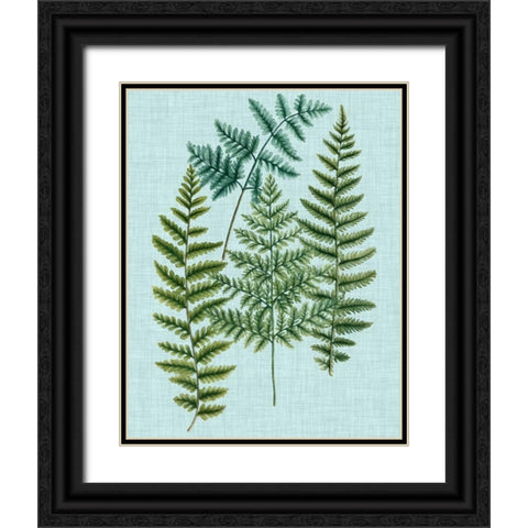 Spa Ferns II Black Ornate Wood Framed Art Print with Double Matting by Weinmann