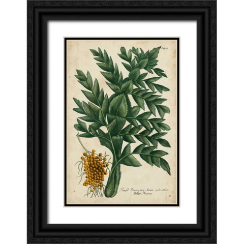 Vintage Tropicals V Black Ornate Wood Framed Art Print with Double Matting by Weinmann