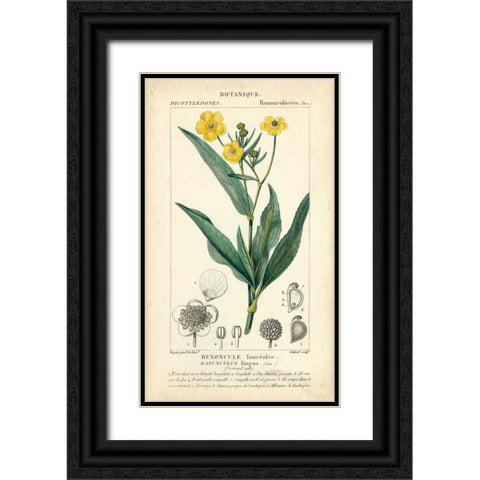 Botanique Study in Yellow III Black Ornate Wood Framed Art Print with Double Matting by Turpin