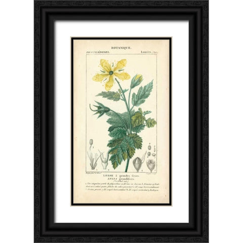 Botanique Study in Yellow IV Black Ornate Wood Framed Art Print with Double Matting by Turpin