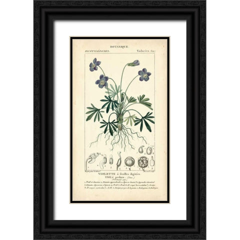 Botanique Study in Lavender IV Black Ornate Wood Framed Art Print with Double Matting by Turpin