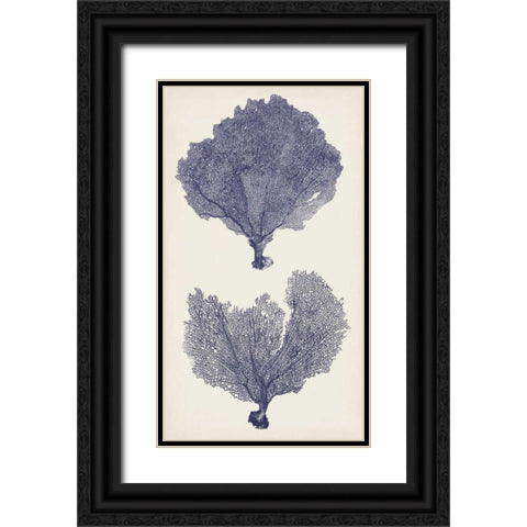 Indigo Seafans II Black Ornate Wood Framed Art Print with Double Matting by Vision Studio