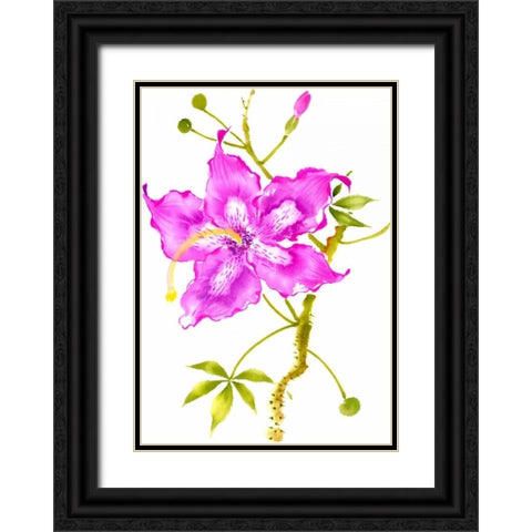 Hibiscus Flower I Black Ornate Wood Framed Art Print with Double Matting by Rae, Nan