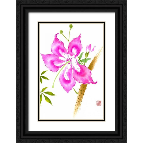 Hibiscus Flower II Black Ornate Wood Framed Art Print with Double Matting by Rae, Nan