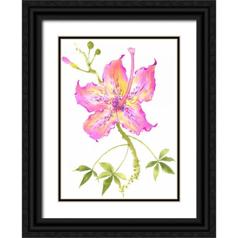 Hibiscus Flower IV Black Ornate Wood Framed Art Print with Double Matting by Rae, Nan