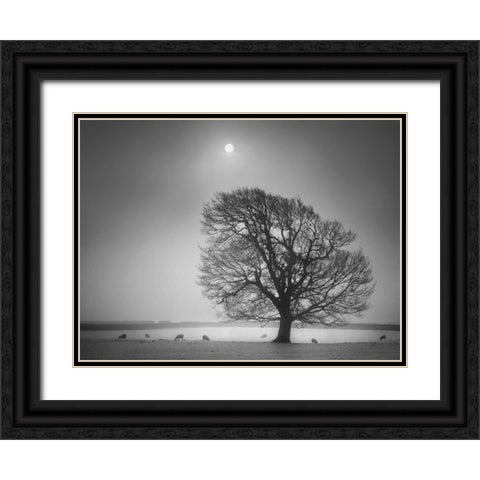 Evening Light II Black Ornate Wood Framed Art Print with Double Matting by Henson, Martin