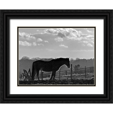 Evening Light III Black Ornate Wood Framed Art Print with Double Matting by Henson, Martin