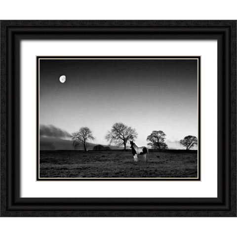 Evening Light IV Black Ornate Wood Framed Art Print with Double Matting by Henson, Martin