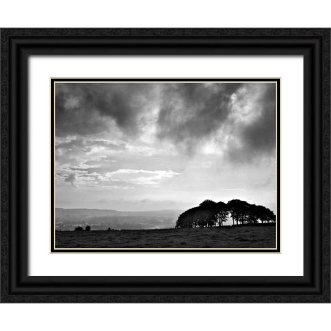 Storm Clouds Black Ornate Wood Framed Art Print with Double Matting by Henson, Martin