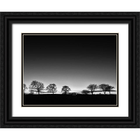 Treeline Light Black Ornate Wood Framed Art Print with Double Matting by Henson, Martin
