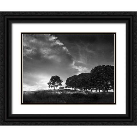 Touched by Sunlight Black Ornate Wood Framed Art Print with Double Matting by Henson, Martin