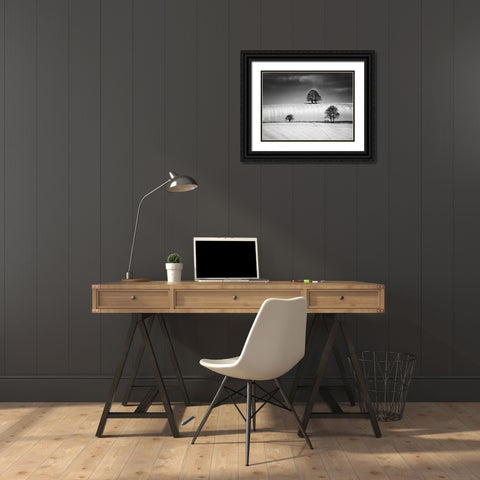 Winter Triangle Black Ornate Wood Framed Art Print with Double Matting by Henson, Martin