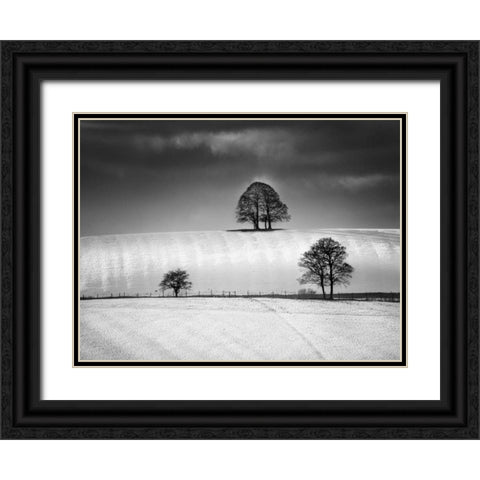 Winter Triangle Black Ornate Wood Framed Art Print with Double Matting by Henson, Martin
