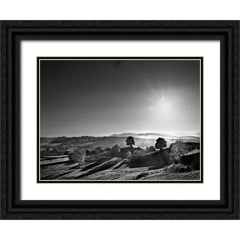 Extreme Sunlight Black Ornate Wood Framed Art Print with Double Matting by Henson, Martin