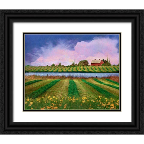 Idyllic Farm II Black Ornate Wood Framed Art Print with Double Matting by Vest, Chris